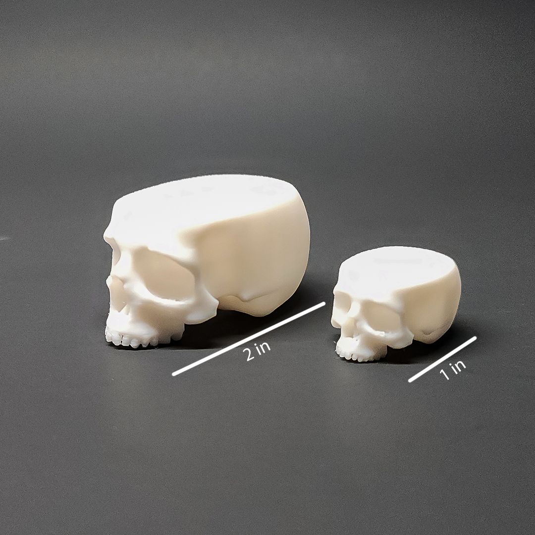 Skull Water Bowls - Multiple Colors Available