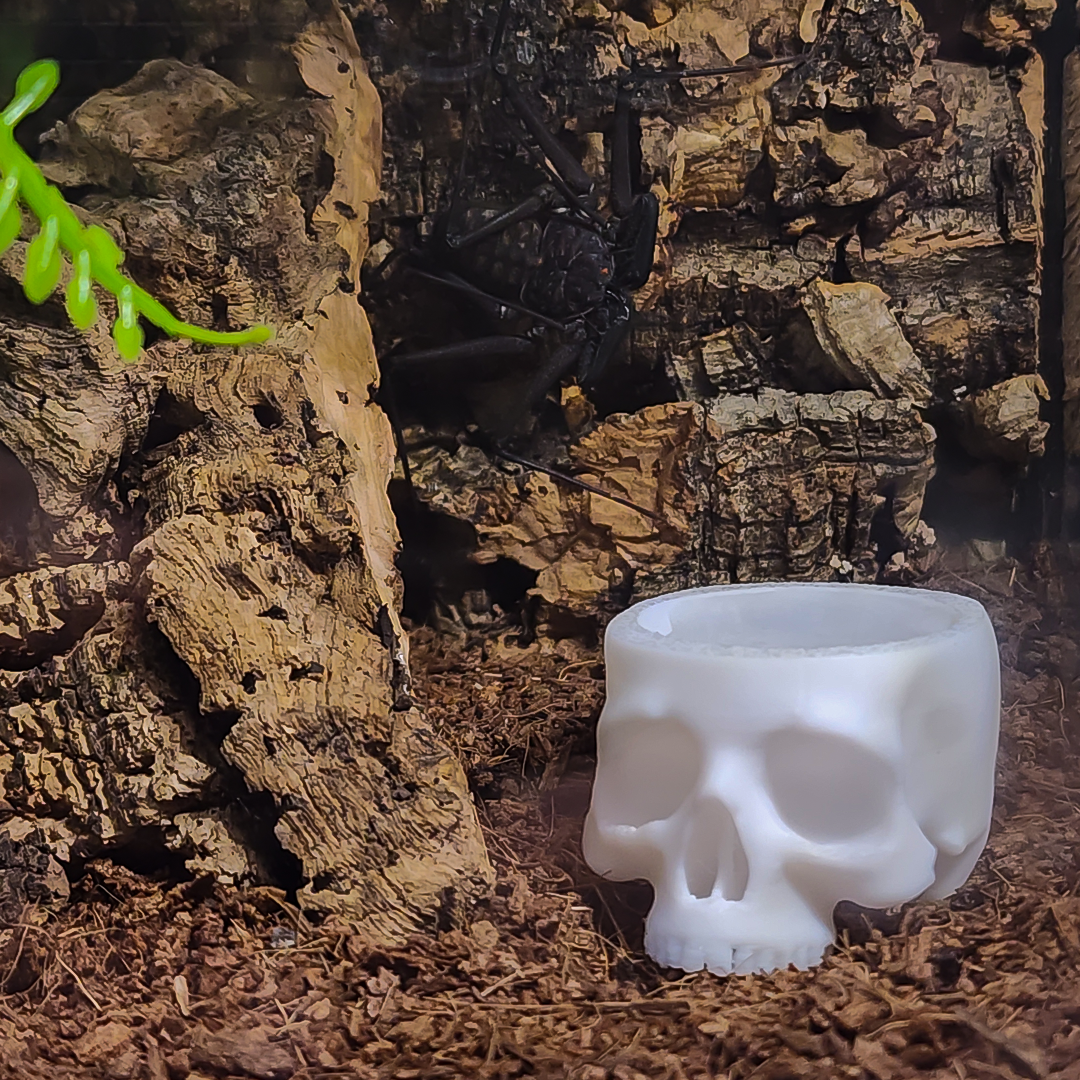 Skull Water Bowls - Multiple Colors Available
