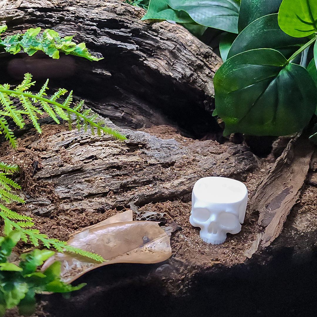 Skull Water Bowls - Multiple Colors Available