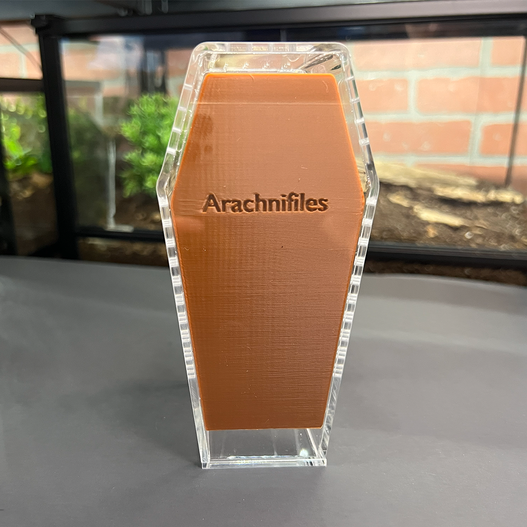 Tarantula Cribs Small Coffin Background