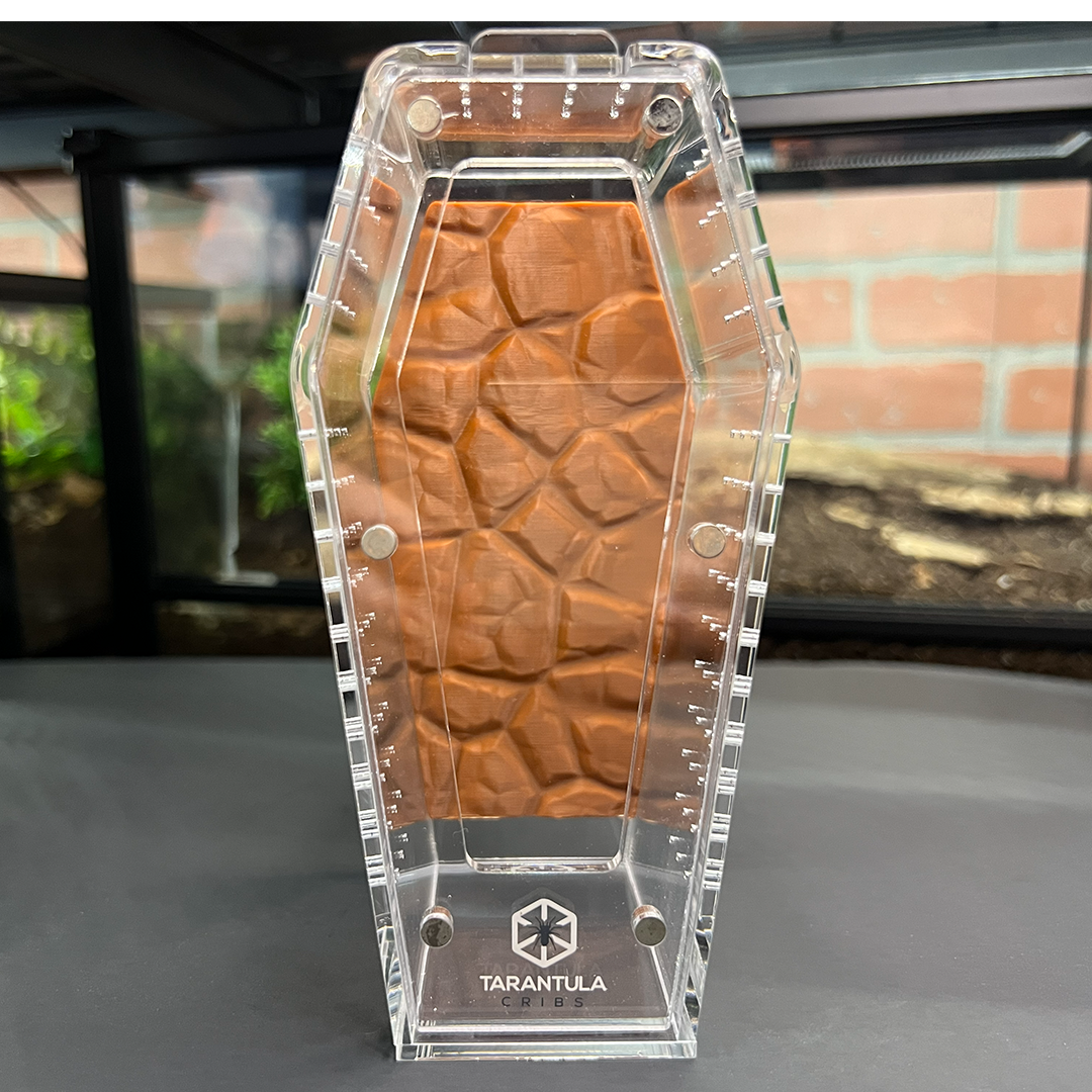 Tarantula Cribs Small Coffin Background