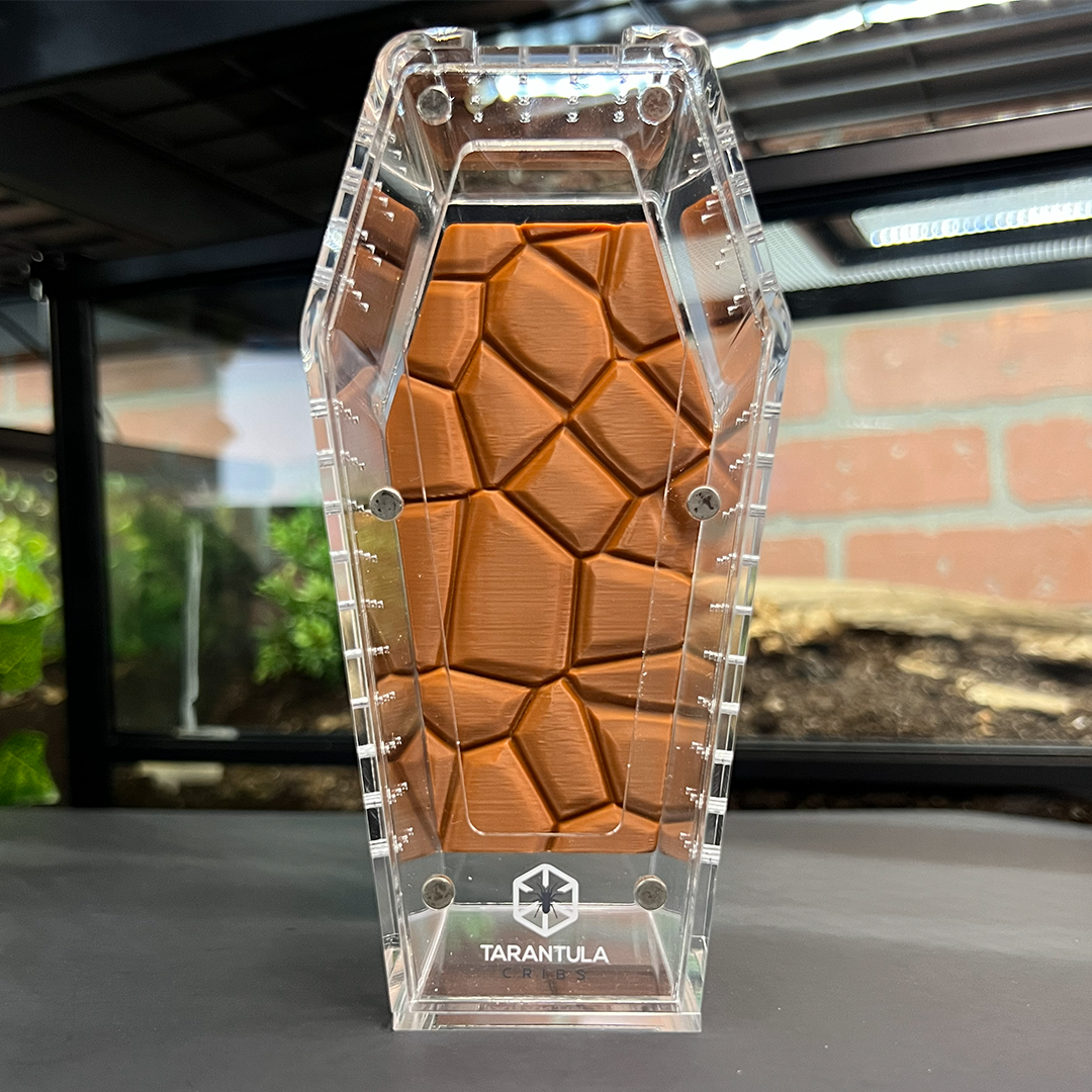 Tarantula Cribs Small Coffin Background