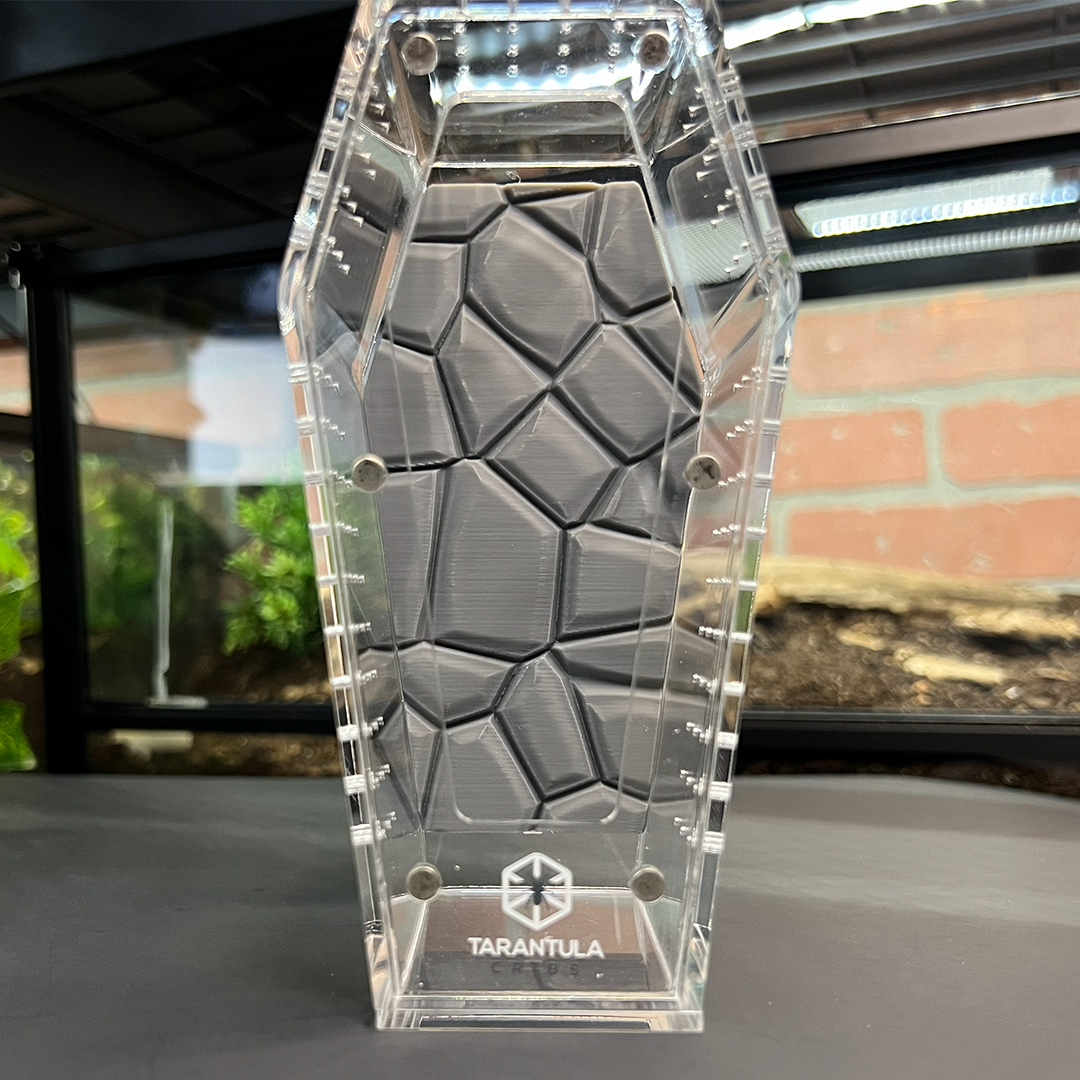 Tarantula Cribs Small Coffin Background