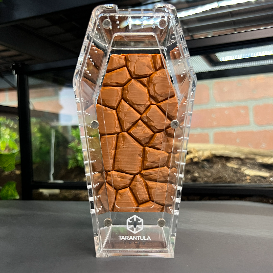 Tarantula Cribs Small Coffin Background