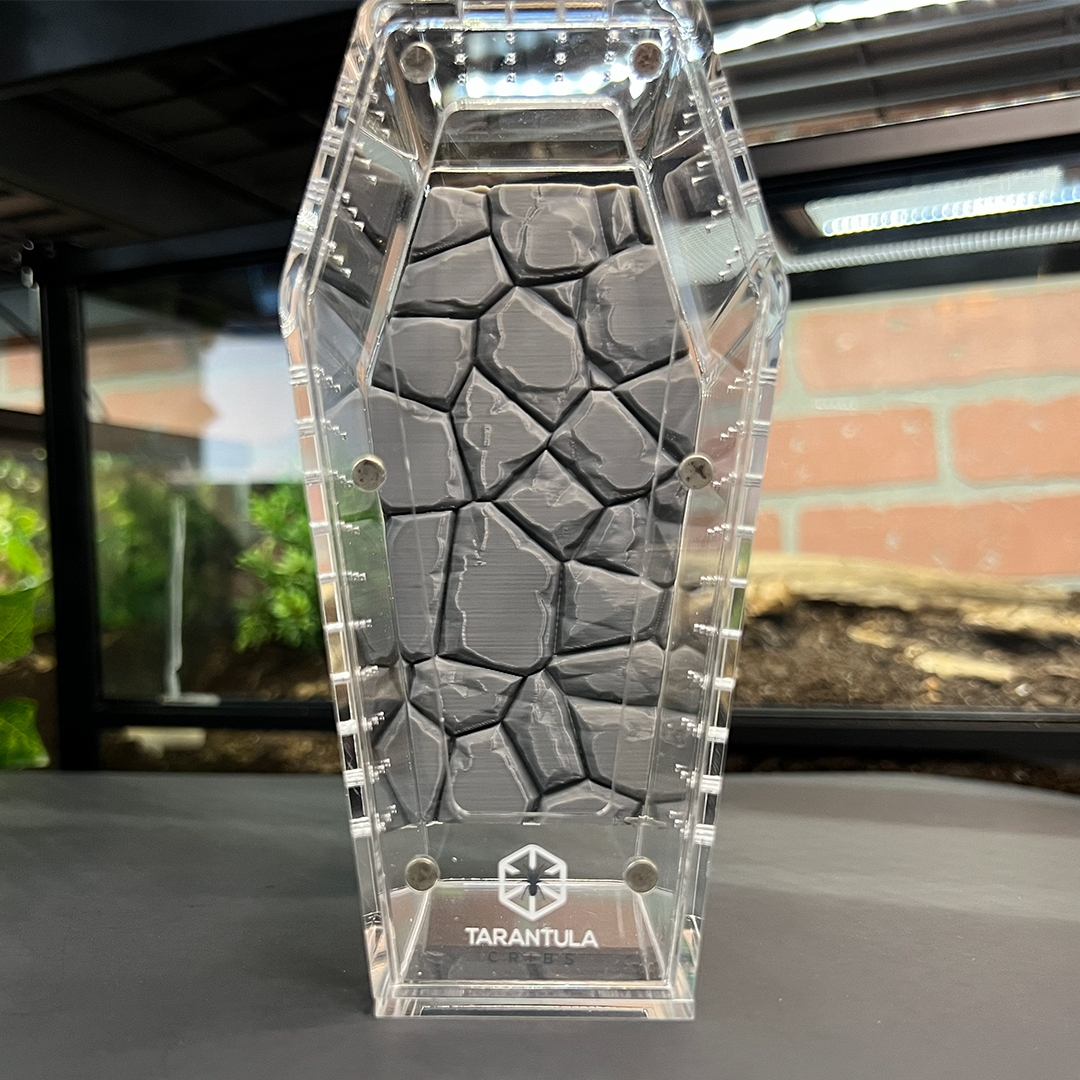 Tarantula Cribs Small Coffin Background