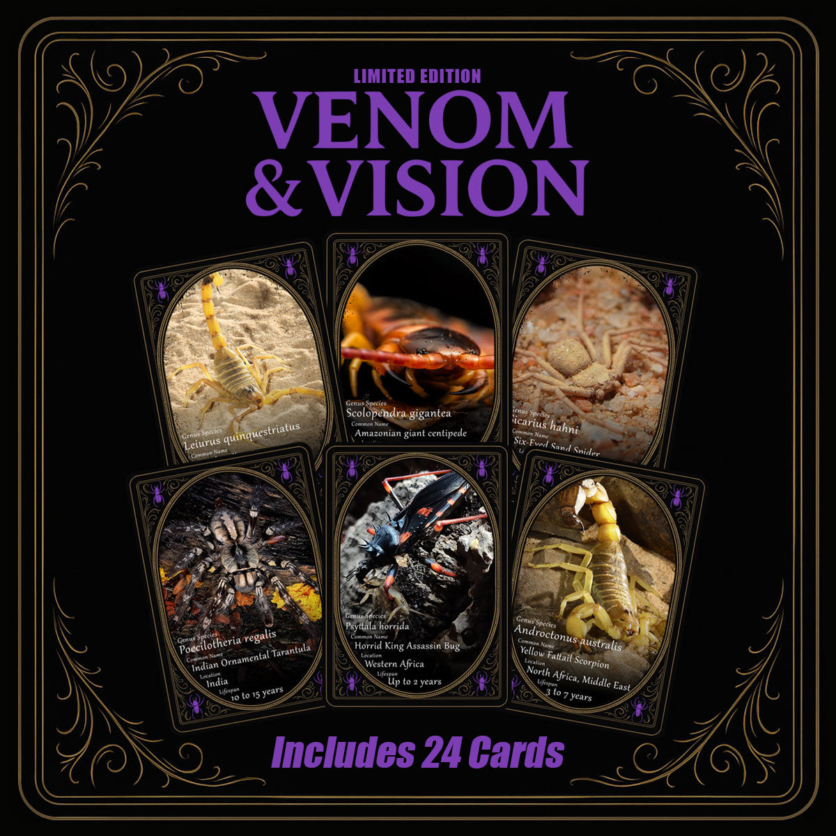 Limited Edition Venom & Vision Arachnicards – Only 100 Packs Made!