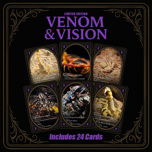 Limited Edition Venom & Vision Arachnicards – Only 100 Packs Made!