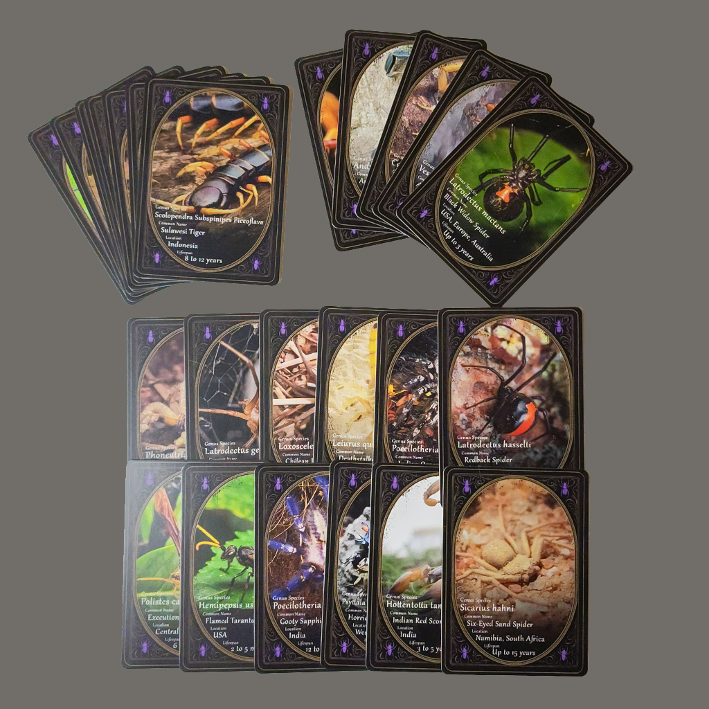 Limited Edition Venom & Vision Arachnicards – Only 100 Packs Made!