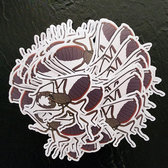 Vinegaroon Die Cut Sticker (3"x3") image 1