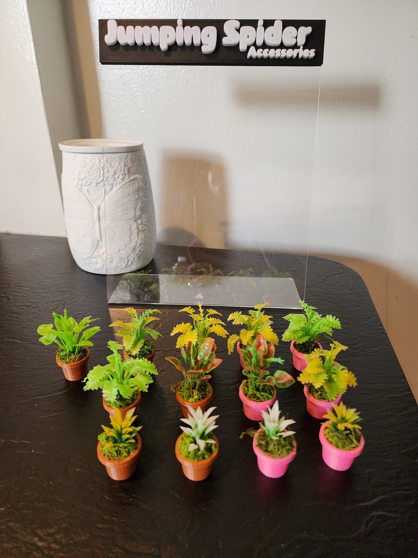 Jumping Spider Plant Pots