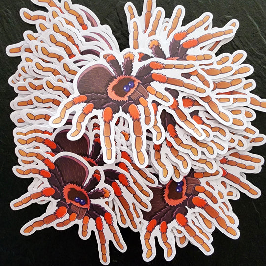 Tarantula Die Cut Sticker (3"x3") image 1