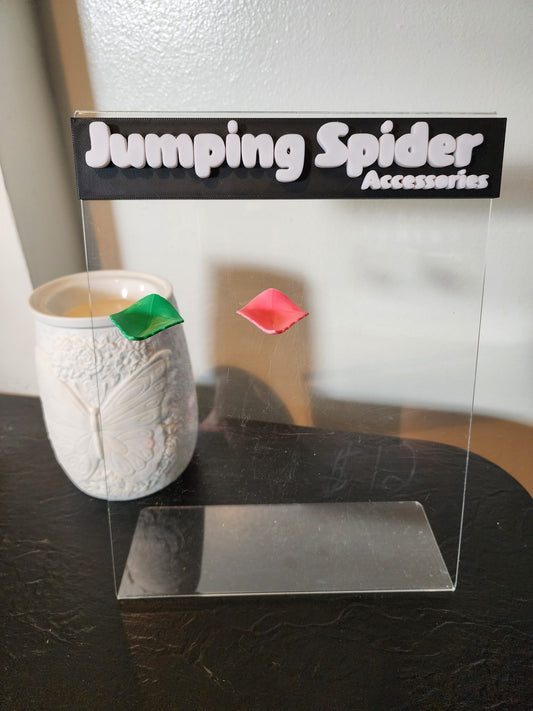 Jumping Spider Feeding Leaf Ledge image 0