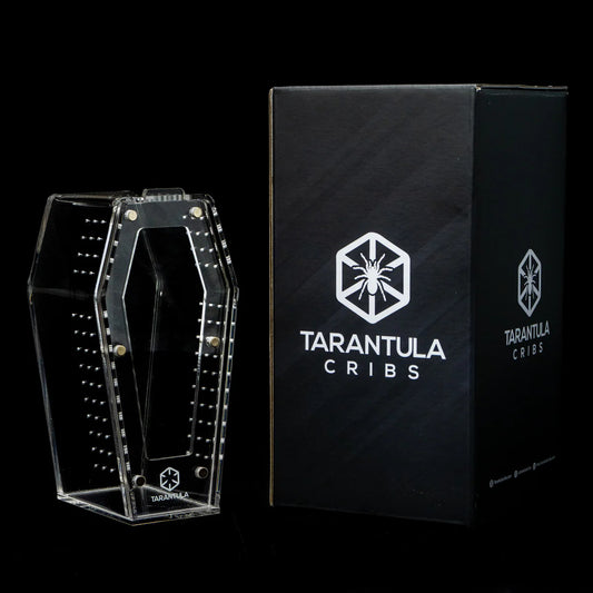 Clear Mini Coffin Crib | Acrylic Tarantula & Invertebrate Enclosure
