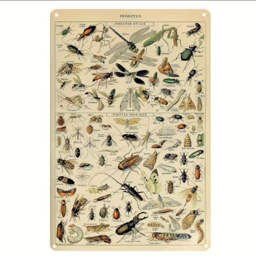 Metal Insect Sign image 0