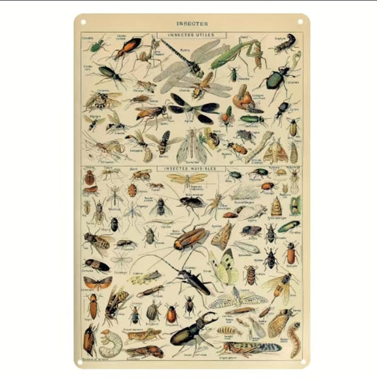 Metal Insect Sign image 0