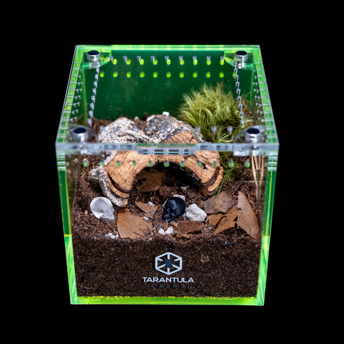 Richard Stewart Collaboration Enclosure | Glow Cube for Spiderlings