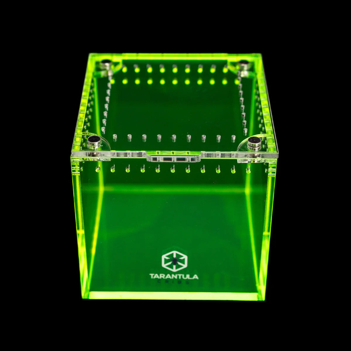 Richard Stewart Collaboration Enclosure | Glow Cube for Spiderlings