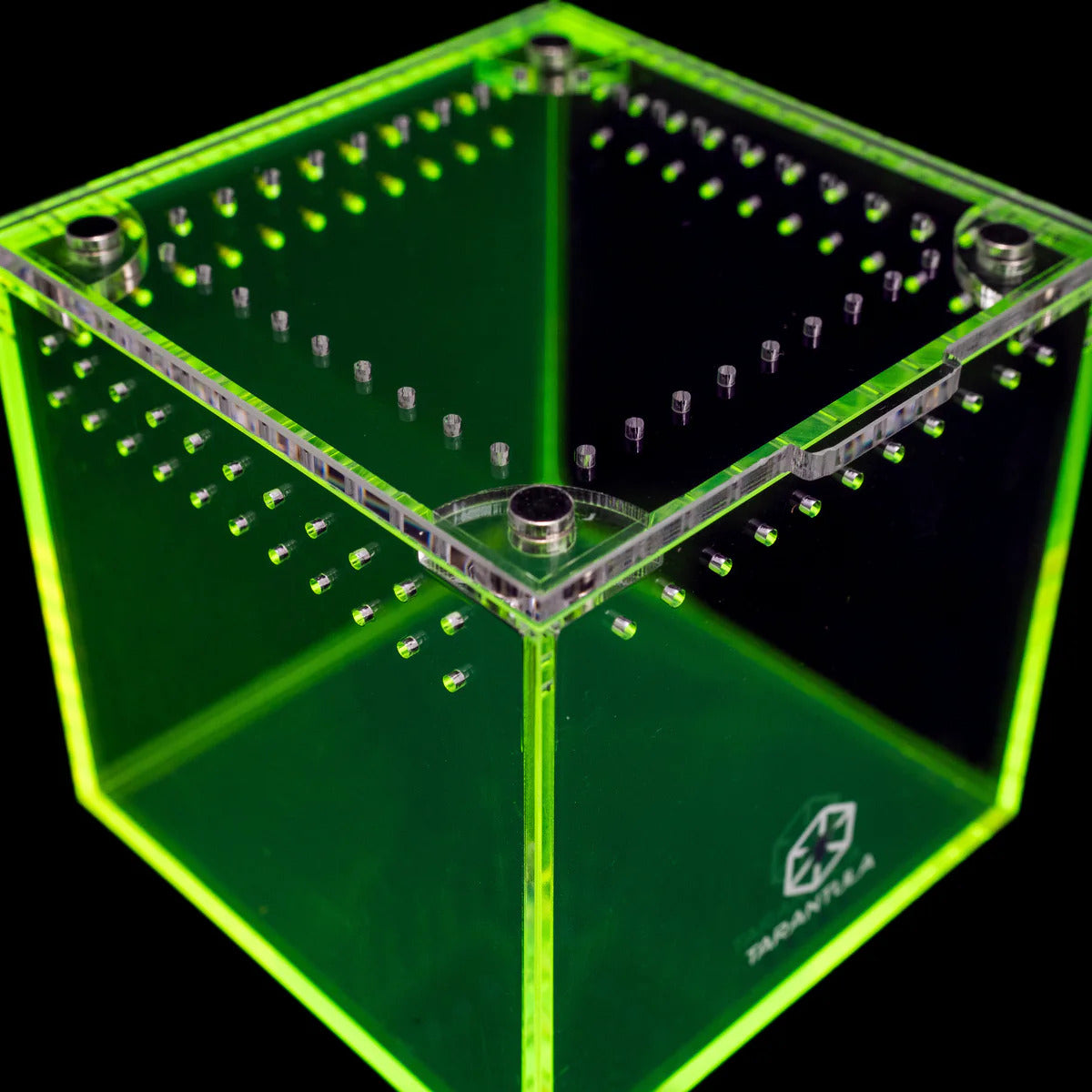 Richard Stewart Collaboration Enclosure | Glow Cube for Spiderlings
