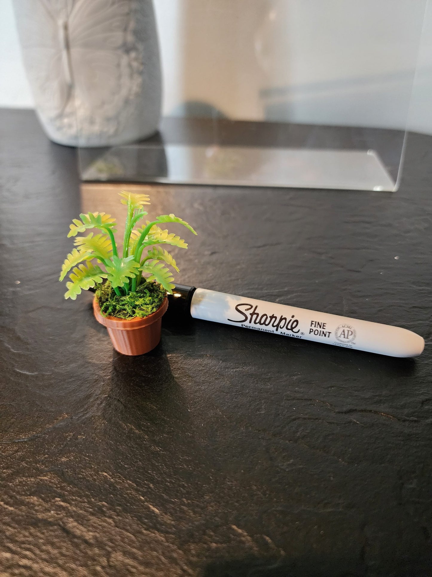 Jumping Spider Plant Pots